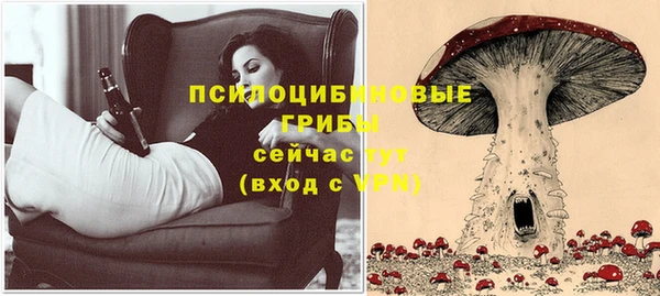 дживик Сосновый Бор