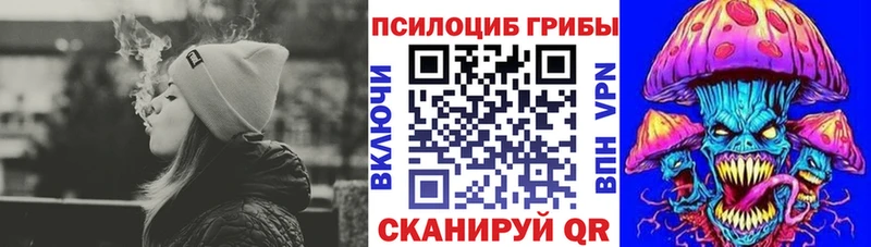 гидра вход  Новозыбков  Псилоцибиновые грибы мицелий  сколько стоит 